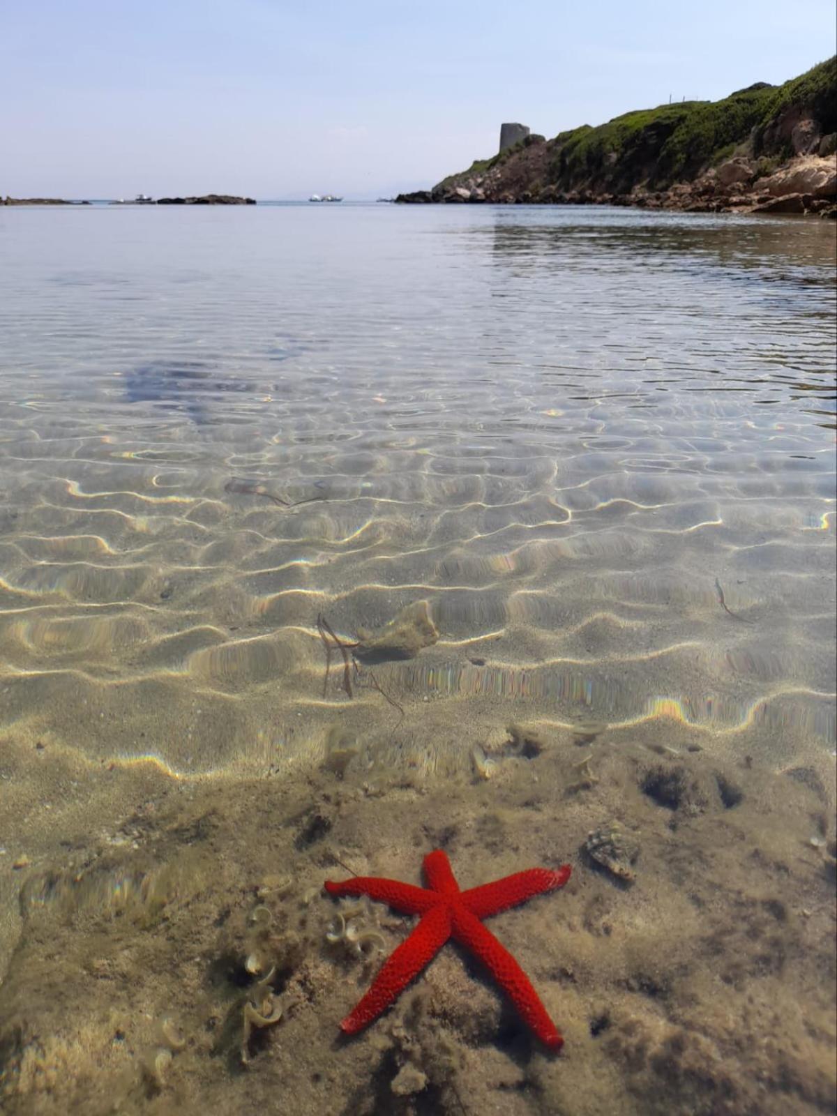 Carpe Diem Oristano Dış mekan fotoğraf